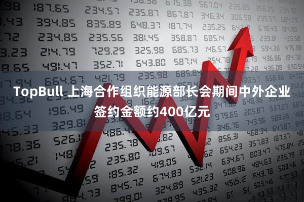 TopBull 上海合作组织能源部长会期间中外企业签约金额约400亿元