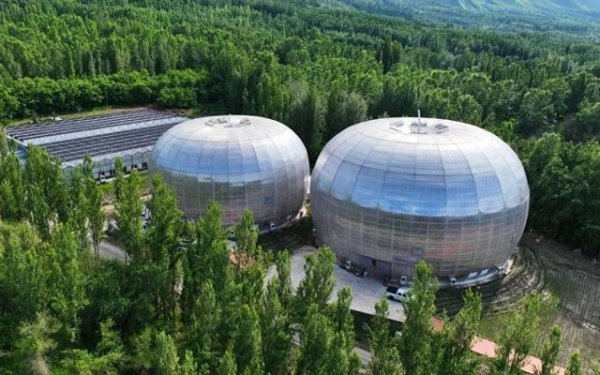 创赢策略 新疆伊犁植物园温室“苹果苑”开馆，汇聚上千种奇花异木