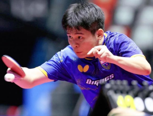 集采优配 全运会乒乓：男单决赛名单出炉！林诗栋4-1晋级，将与樊振东争冠